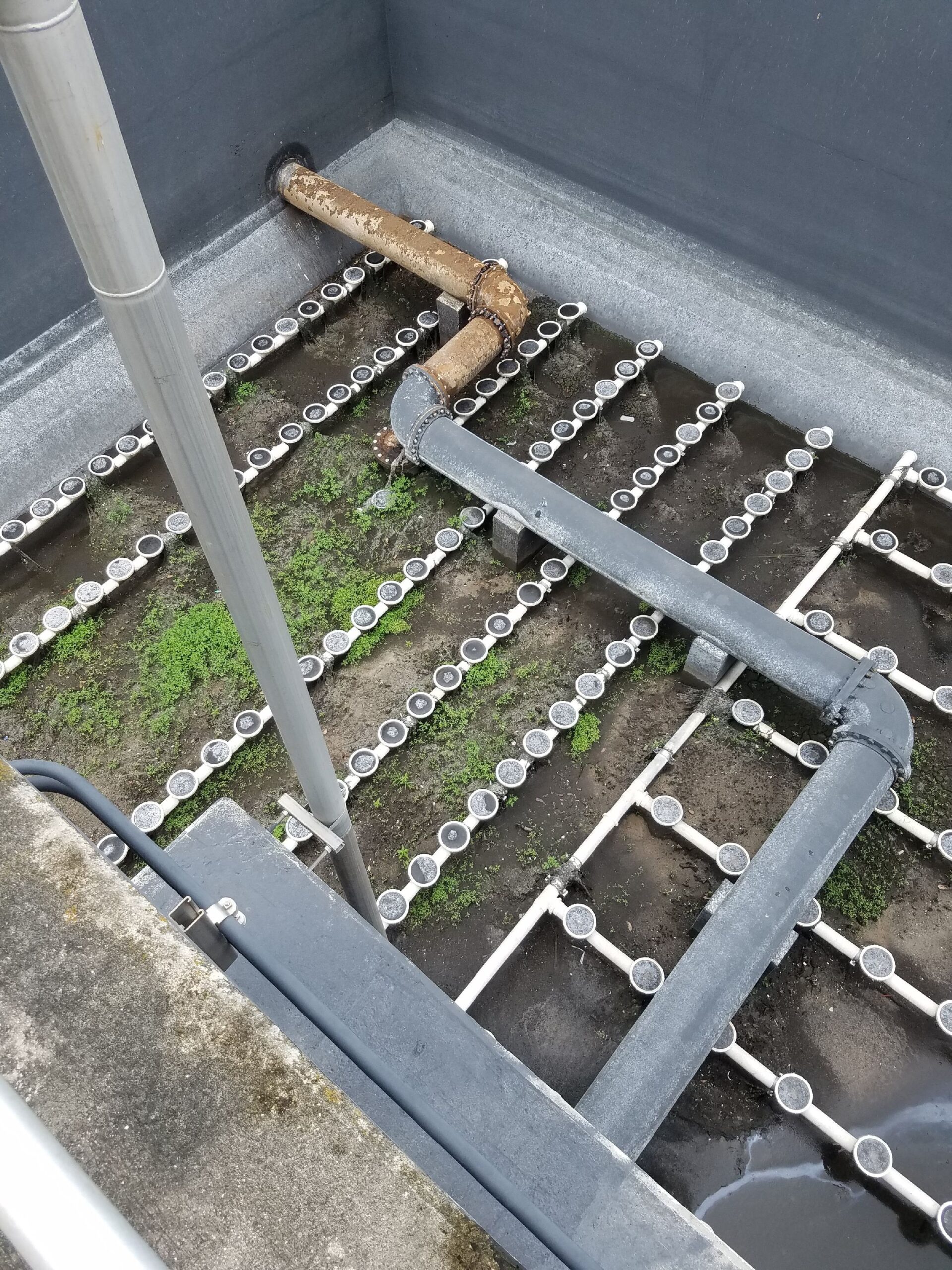 Vegetation removal from waste water tanks