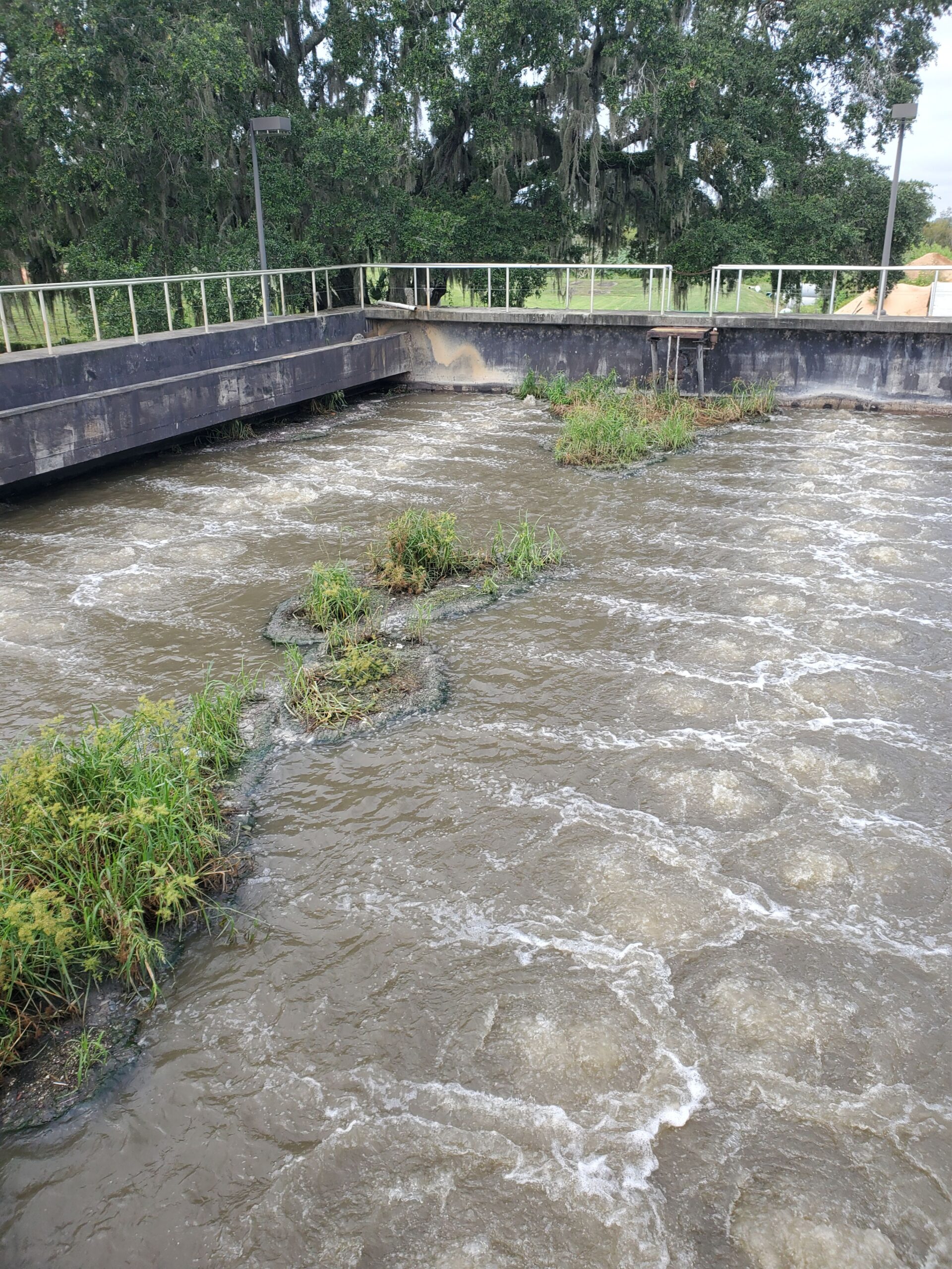 Vegetation removal from waste water tanks